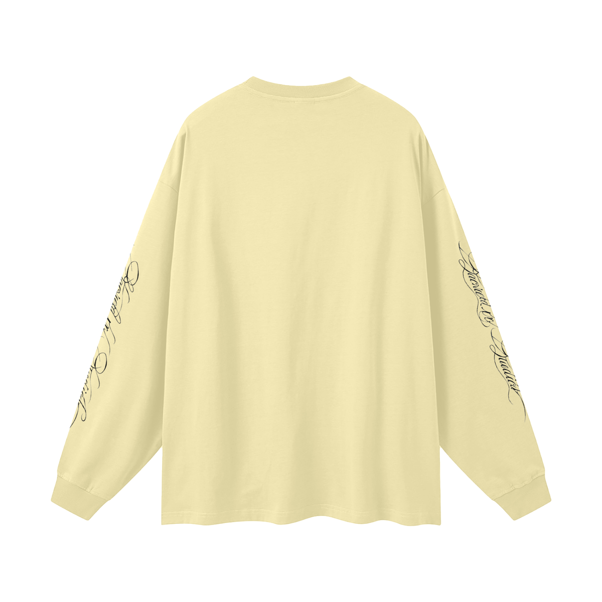 Whom Shall I Fear Oversized Long Sleeve T-Shirt