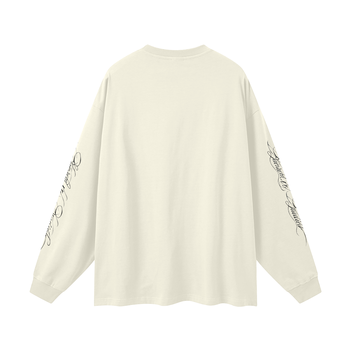 Whom Shall I Fear Oversized Long Sleeve T-Shirt