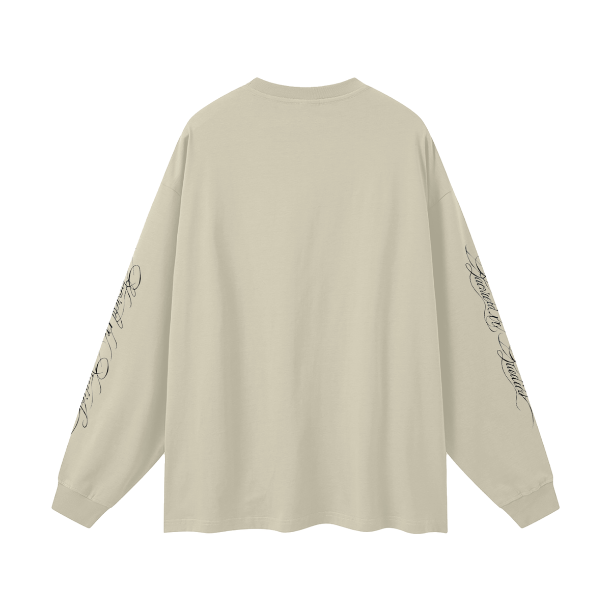 Whom Shall I Fear Oversized Long Sleeve T-Shirt
